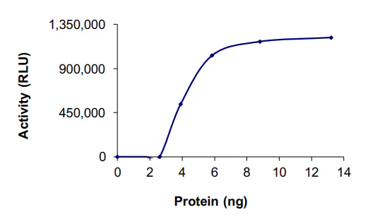 Functional Studies - Recombinant human PDE1B protein (GST tag N-Terminus) (AB125652)