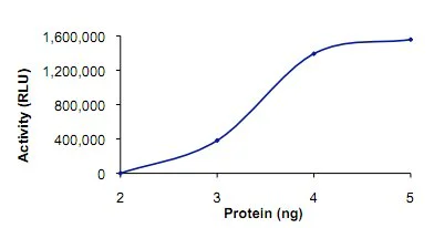 Functional Studies - Recombinant human PDE1C/PDE1 protein (GST tag N-Terminus) (AB125567)