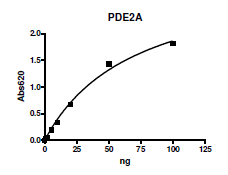 Recombinant human PDE2A protein