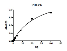 Functional Studies - Recombinant human PDE2A protein (DDDDK tag N-Terminus) (AB198457)