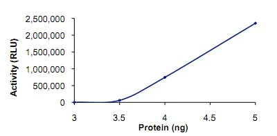 Functional Studies - Recombinant human PDE3A protein (AB125545)