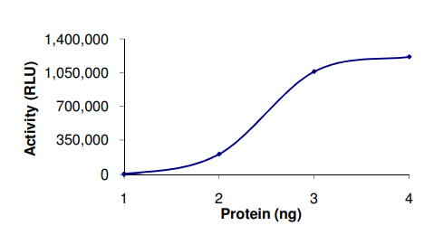 Recombinant human PDE3A protein