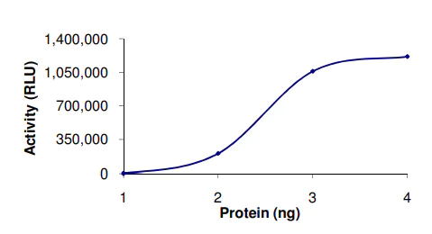 Functional Studies - Recombinant human PDE3A protein (AB125545)