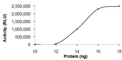 Functional Studies - Recombinant human PDE3B protein (AB125784)