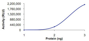 Recombinant human PDE4A protein