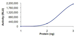 Functional Studies - Recombinant human PDE4A protein (AB125603)