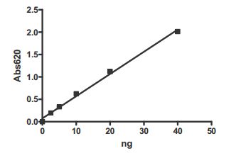 Functional Studies - Recombinant human PDE4A protein (AB198423), expandable thumbnail