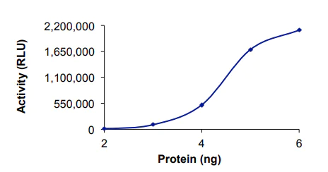 Functional Studies - Recombinant human PDE4B protein (AB125582)
