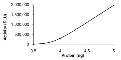 Functional Studies - Recombinant human PDE4B protein (AB125582)