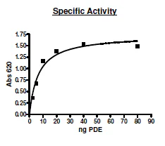 Functional Studies - Recombinant human PDE4B protein (Active) (GST N-Terminus + His tag C-Terminus) (AB271679)