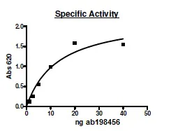 Functional Studies - Recombinant human PDE4D protein (GST tag N-Terminus) (AB198456)