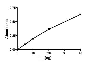 Functional Studies - Recombinant human PDE4D3 protein (GST tag N-Terminus) (AB80332)