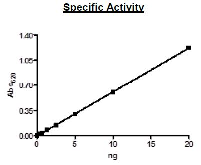 Recombinant human PDE4D7 protein (Active)