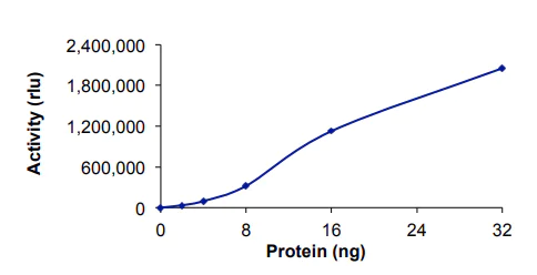 Functional Studies - Recombinant human PDE5A/PDE5 protein (AB125581)