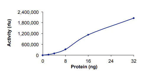 Functional Studies - Recombinant human PDE5A/PDE5 protein (GST tag N-Terminus) (AB125581)