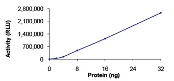 Functional Studies - Recombinant human PDE5A/PDE5 protein (GST tag N-Terminus) (AB125581)