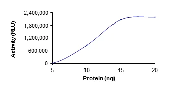 Functional Studies - Recombinant human PDE7A/HCP1 protein (AB125786)