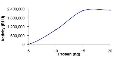 Functional Studies - Recombinant human PDE7A/HCP1 protein (AB125786), expandable thumbnail