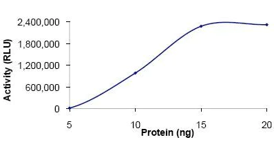 Functional Studies - Recombinant human PDE7A/HCP1 protein (AB125786)