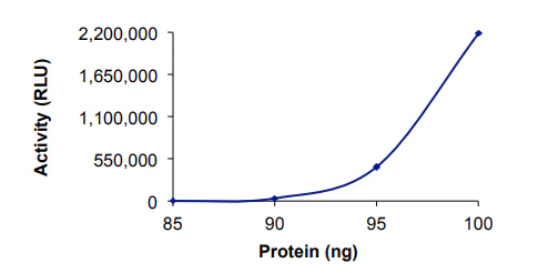Functional Studies - Recombinant human PDE7B protein (AB101593)