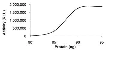 Functional Studies - Recombinant human PDE7B protein (AB101593)