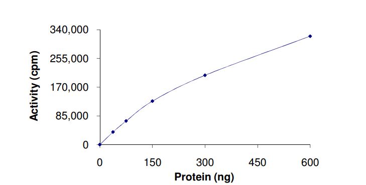 Recombinant human PDGFR alpha (mutated D842V) protein (Active)