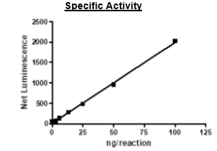 Functional Studies - Recombinant human PDGFR alpha (mutated D842V) protein (Active) (AB271685), expandable thumbnail