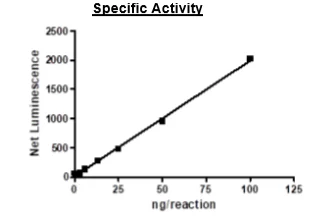 Functional Studies - Recombinant human PDGFR alpha (mutated D842V) protein (Active) (GST tag N-Terminus) (AB271685)