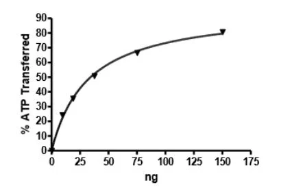 Functional Studies - Recombinant human PDGFR alpha (mutated D842Y) protein (Active) (GST tag N-Terminus) (AB271686)