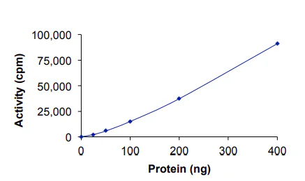 Functional Studies - Recombinant human PDGFR alpha protein (GST tag N-Terminus) (AB84797)