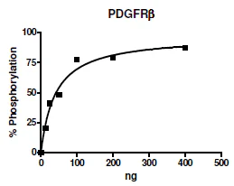 Functional Studies - Recombinant human PDGFR beta protein (Active) (His tag N-Terminus) (AB271687)
