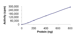 Functional Studies - Recombinant human PDGFR beta protein (GST tag N-Terminus) (AB60833)