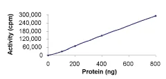 Functional Studies - Recombinant human PDGFR beta protein (GST tag N-Terminus) (AB60833)