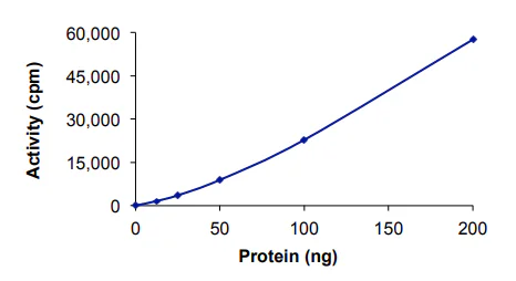 Functional Studies - Recombinant human PDGFR beta protein (GST tag N-Terminus) (AB60833)
