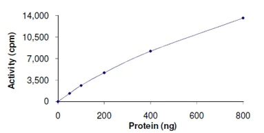 Functional Studies - Recombinant human PDK1 protein (AB125580)