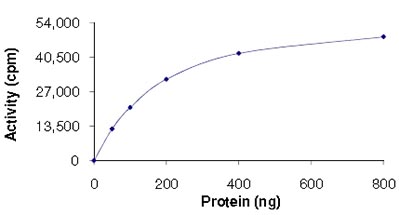 Functional Studies - Recombinant human PDK3 protein (AB125606), expandable thumbnail