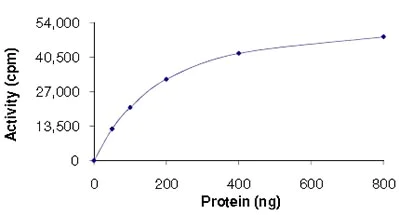Functional Studies - Recombinant human PDK3 protein (AB125606)