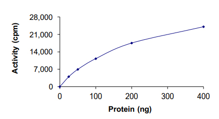 Functional Studies - Recombinant human PDK3 protein (AB125606), expandable thumbnail