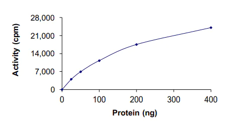 Functional Studies - Recombinant human PDK3 protein (AB125606)