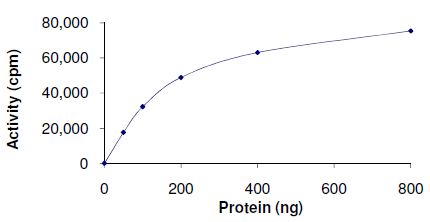 Functional Studies - Recombinant human PDK4 protein (AB125560)