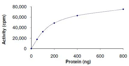 Functional Studies - Recombinant human PDK4 protein (GST tag N-Terminus) (AB125560)
