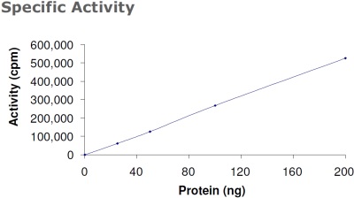 Functional Studies - Recombinant human PDPK1 protein (AB60834), expandable thumbnail