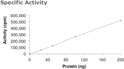 Functional Studies - Recombinant human PDPK1 protein (AB60834)