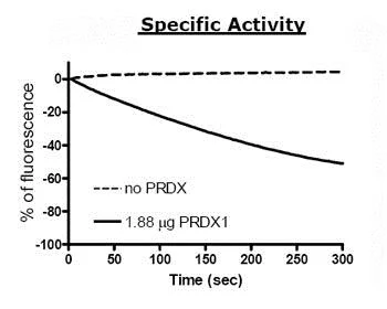 Functional Studies - Recombinant human Peroxiredoxin 1/PAG protein (His tag N-Terminus) (AB79945)