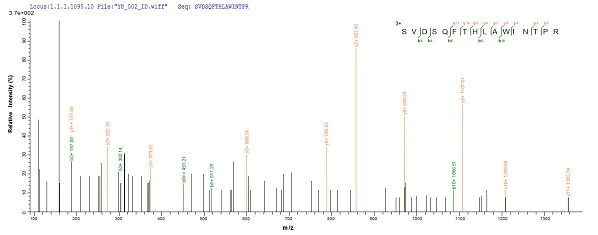 Mass Spectrometry - Recombinant Human Peroxiredoxin 2/PRP protein (His tag) (AB236937)