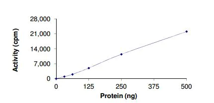 Functional Studies - Recombinant human PFTK1 (CDK14)/CyclinY protein (AB177576)