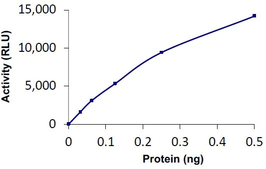 Functional Studies - Recombinant human PGP9.5 protein (Active) (AB269110)