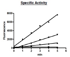 Recombinant human PHGDH/Malate dehydrogenase protein