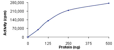 Functional Studies - Recombinant human PHKG2 protein (AB89857)