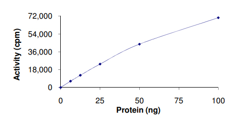 Functional Studies - Recombinant human PHKG2 protein (AB89857)